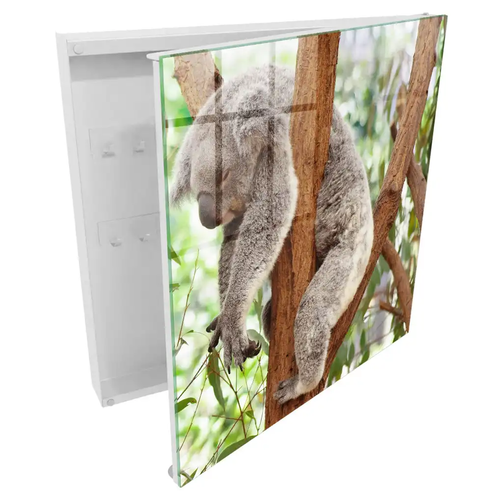 Szafeczka na klucze koala na drzewie w naturalnym otoczeniu