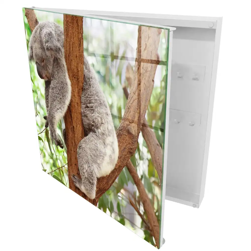 Szafeczka na klucze koala na drzewie w naturalnym otoczeniu