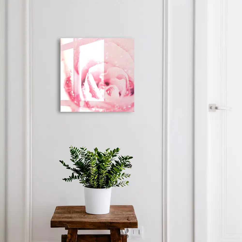 Szafeczka na klucze zbliżenie na różową różę z kroplami rosy