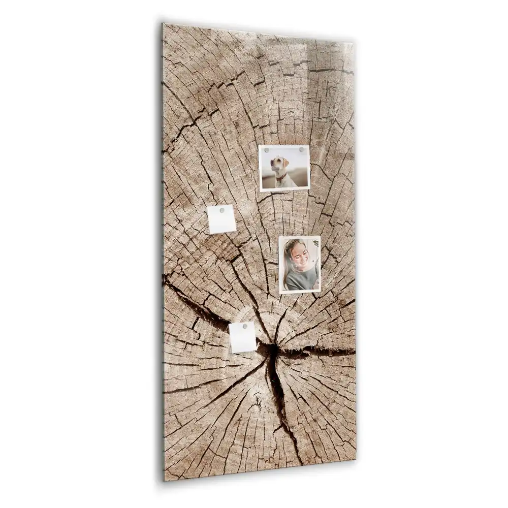 Tablica magnetyczna do rysowania plaster pnia