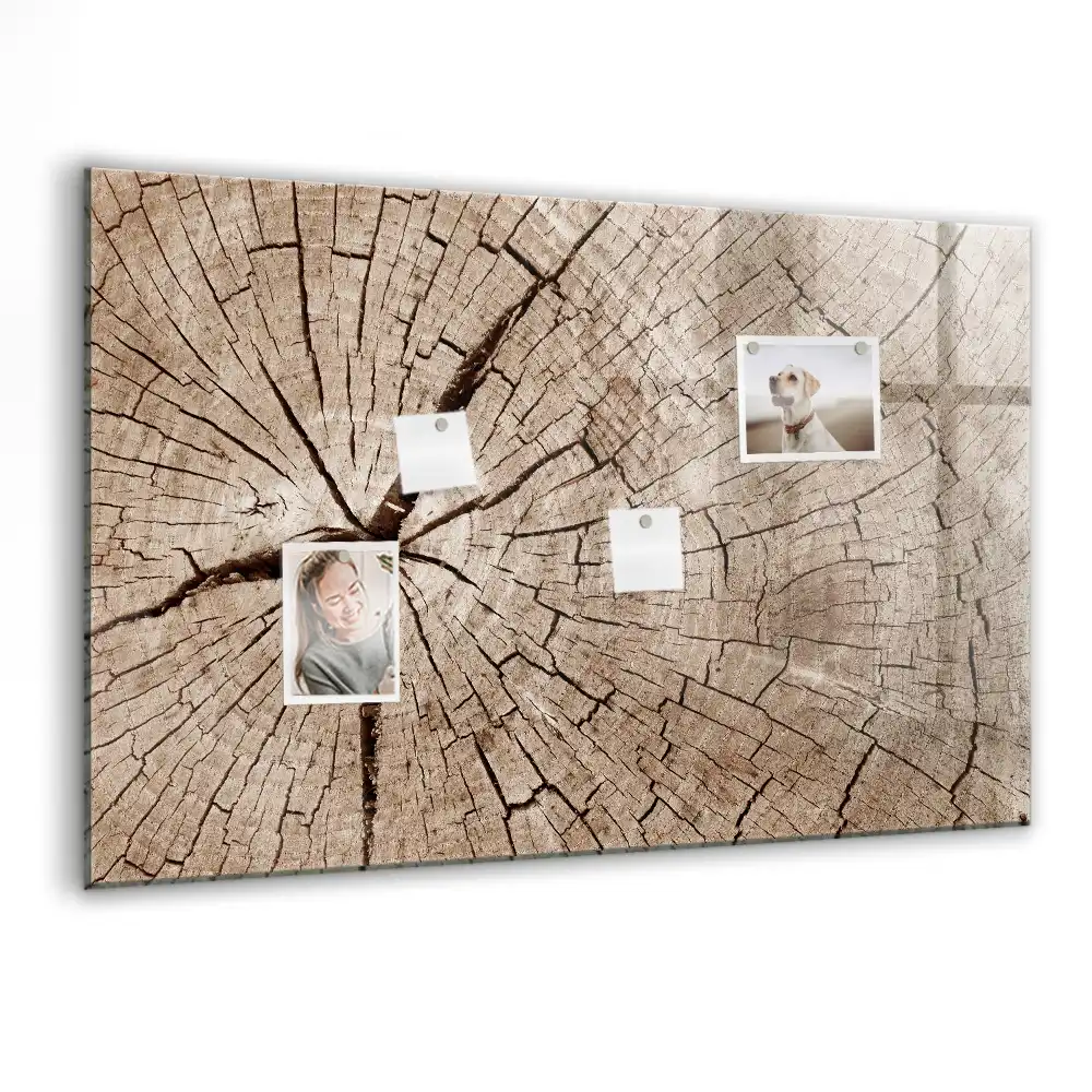 Tablica suchościeralna magnetyczna stary pień drzewa