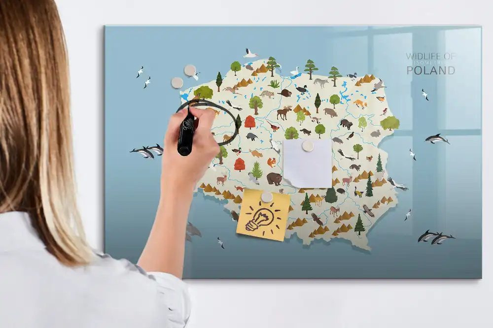 Tablica suchościeralna magnetyczna mapa polski ze zwierzętami