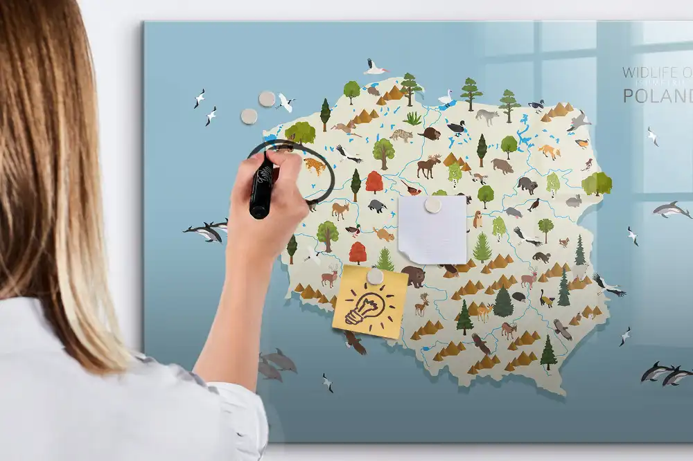 Tablica suchościeralna magnetyczna mapa polski ze zwierzętami