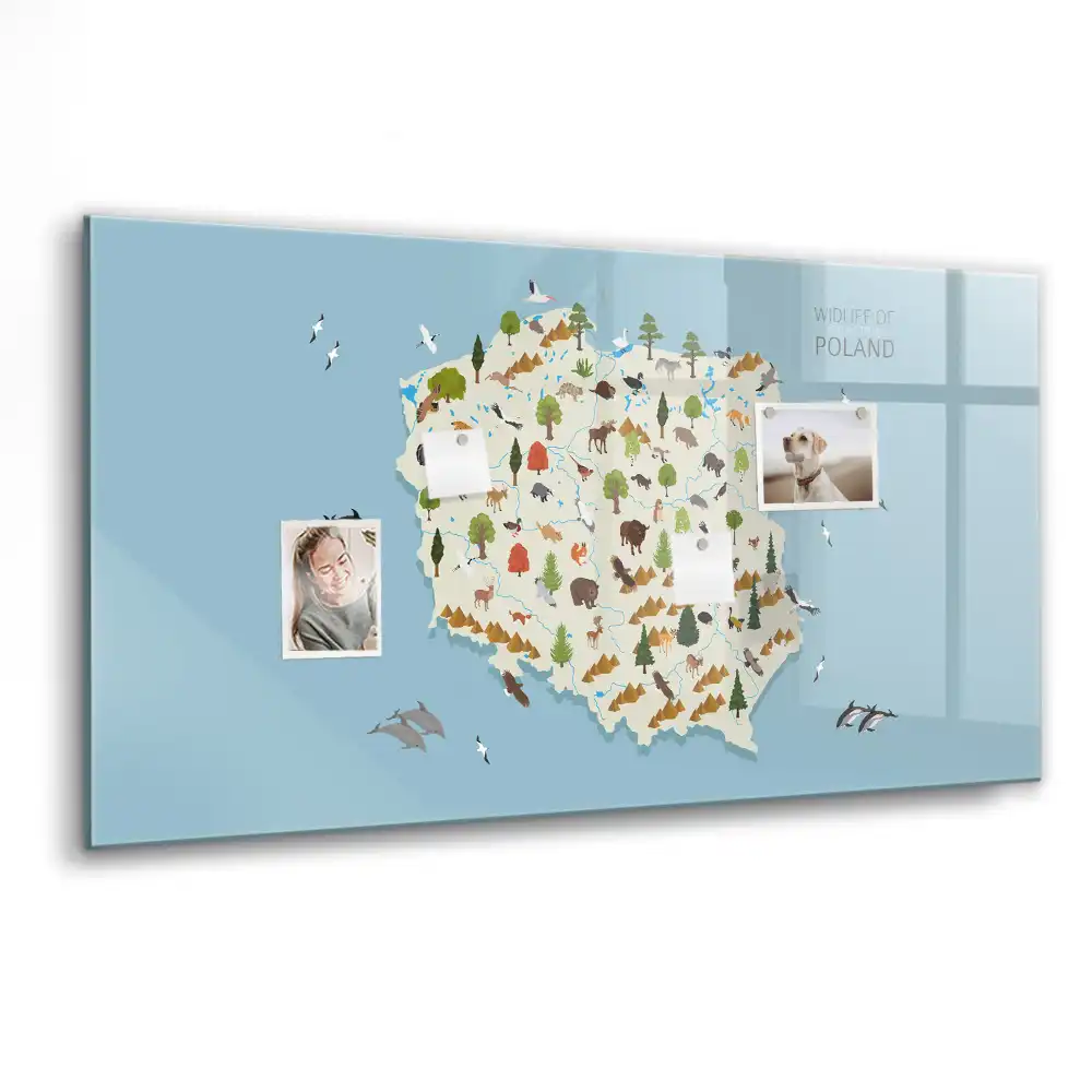 Tablica suchościeralna magnetyczna mapa polski ze zwierzętami