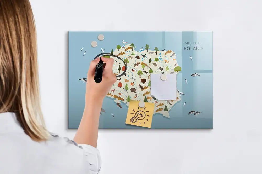 Tablica suchościeralna magnetyczna mapa polski ze zwierzętami