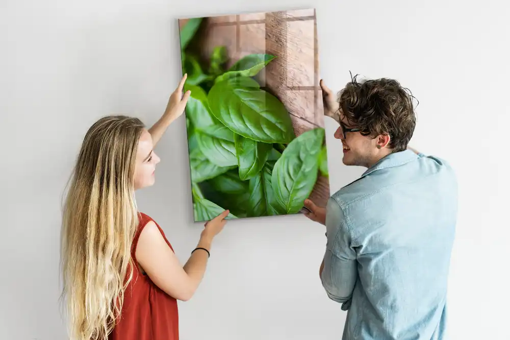 Magnetyczna tablica listki bazylii