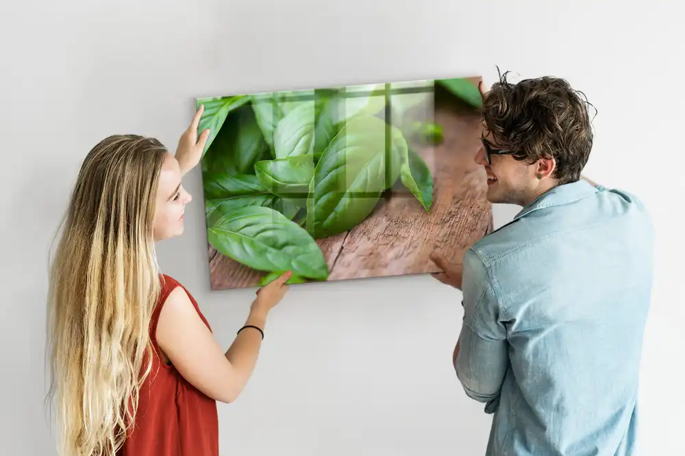 Magnetyczna tablica zielona bazylia