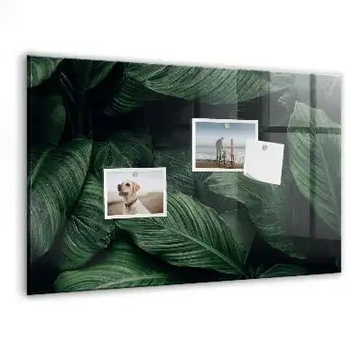 Magnetyczna tablica egzotyczna monstera