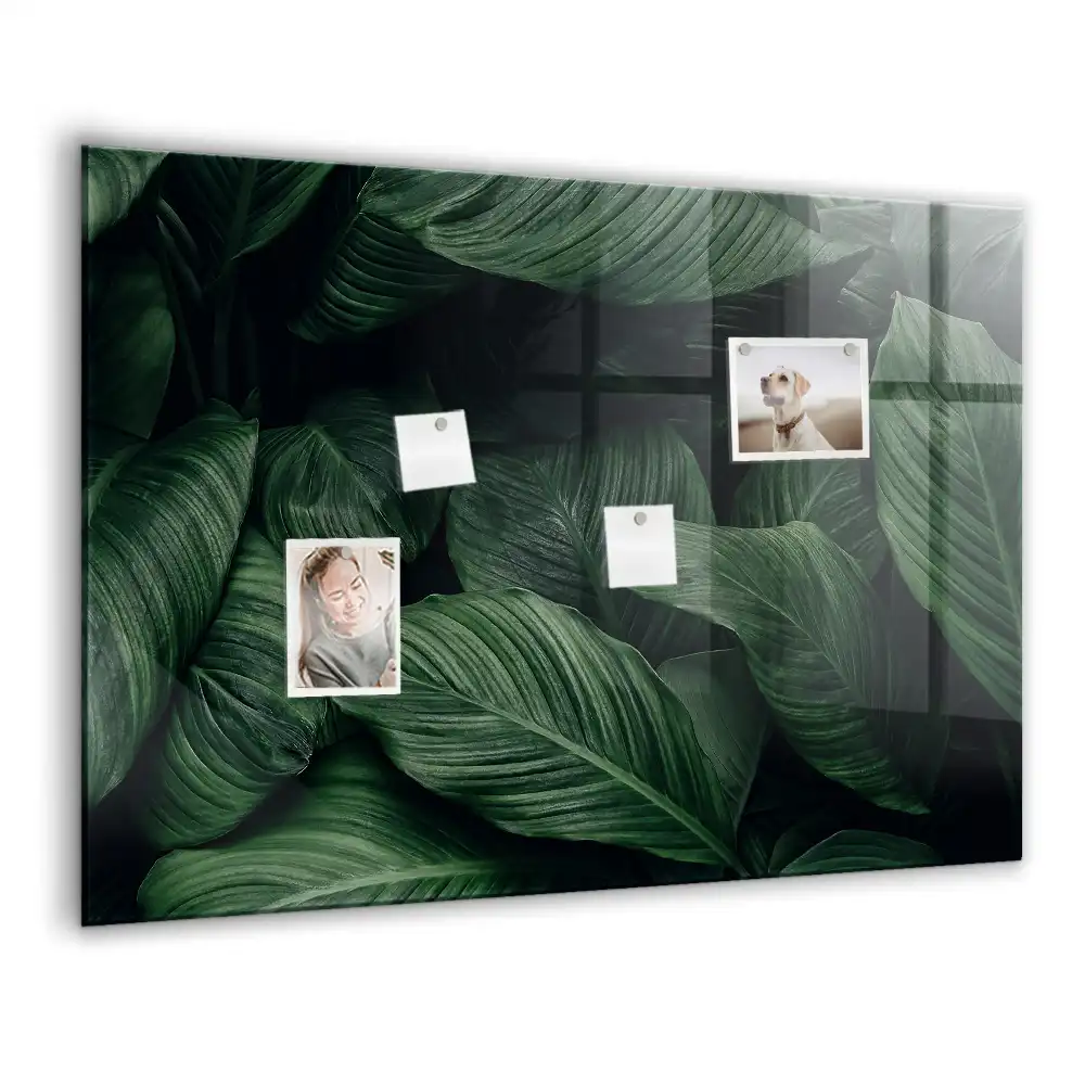 Magnetyczna tablica egzotyczna monstera