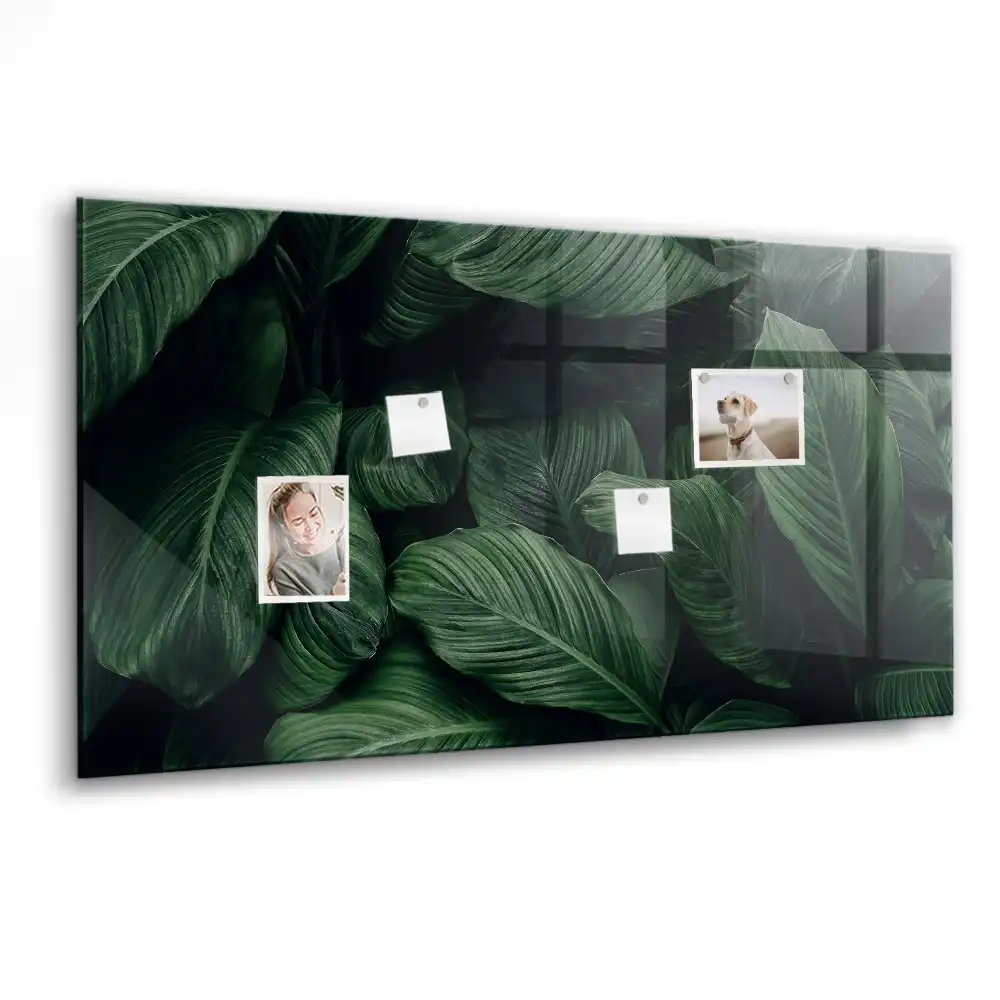 Magnetyczna tablica egzotyczna monstera