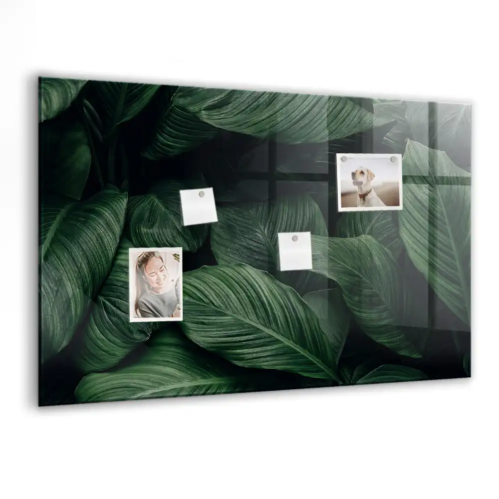 Magnetyczna tablica egzotyczna monstera